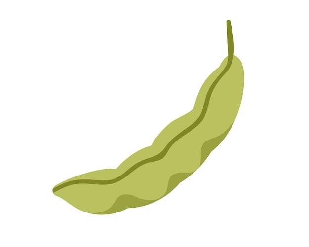 closed green pea pod. fresh raw vegetable food. ripe bean veggie, curved crop. healthy eating. flat vector illustration isolated on white background.