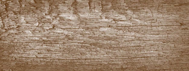 Closeup of brown wood texture for fans and creative design