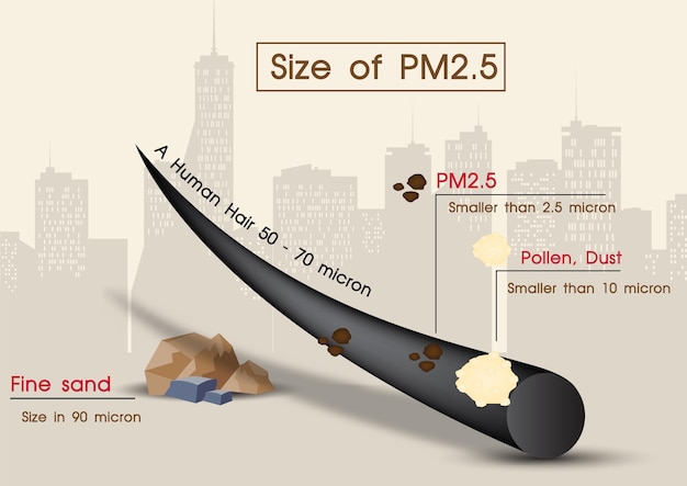 Premium Vector | Closeup and example human hair compare with size of pollen, fine sand and on landscape city view background. poster of infographic about toxic dust in vector design. Premium Vector | Closeup and example human hair compare with size of pollen, fine sand and on landscape city view background. poster of infographic about toxic dust in vector design.