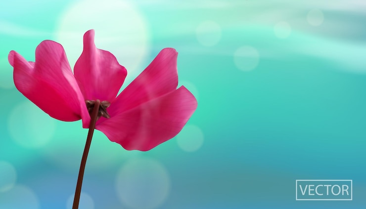 Vector closeup of flower on bokeh blue background.