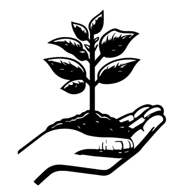 closeup hands holding black line tree sprout growing from soil hand Earth planet protection concept