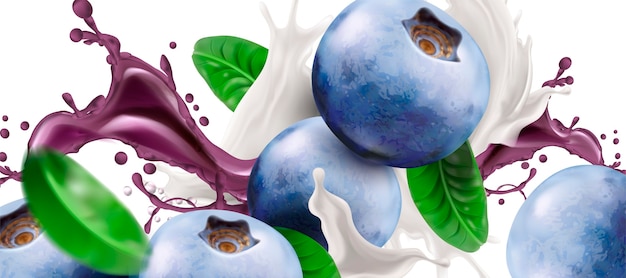 closeup look at blueberries and splashing yogurt or milk on white background 