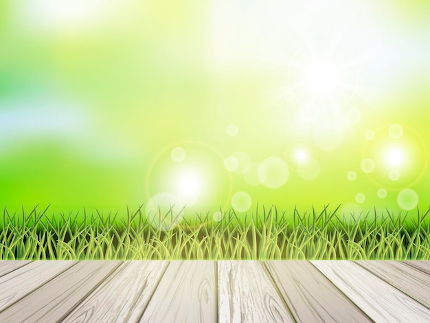 closeup look at natural grass background