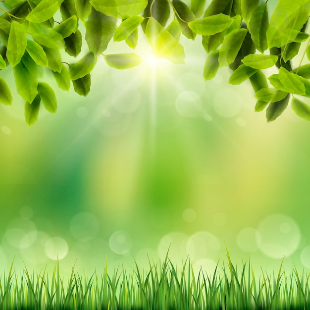 Vector closeup look at natural grass background