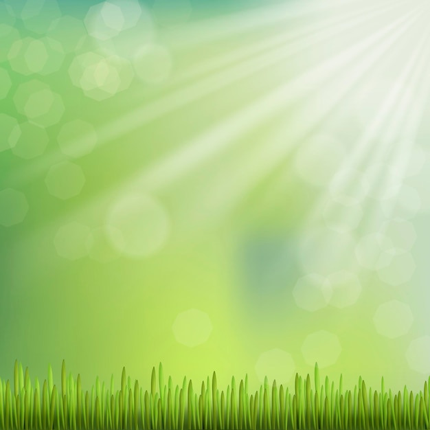 Vector closeup look at natural grass background