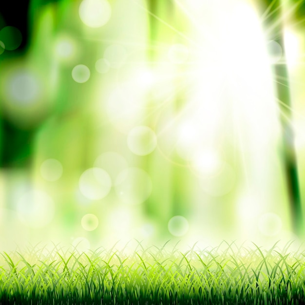 closeup look at natural grass background