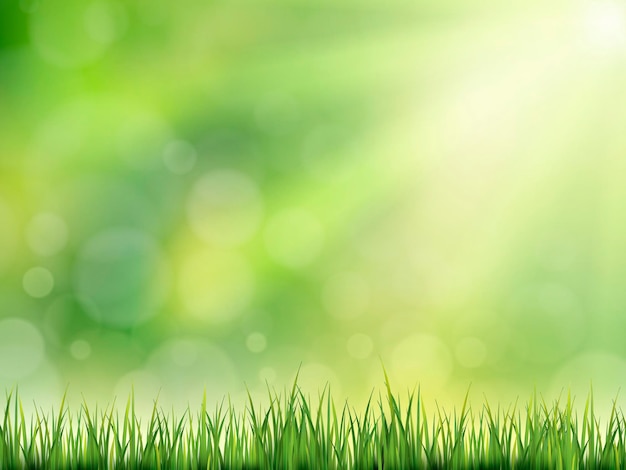 closeup look at natural grass background