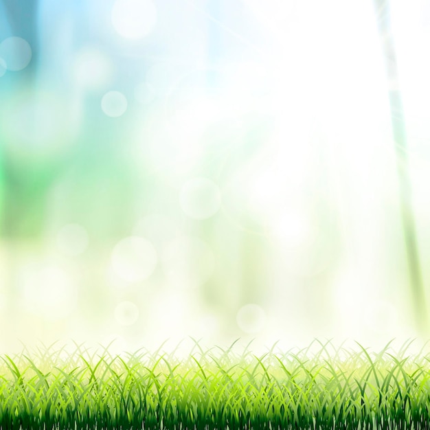 Vector closeup look at natural grass background