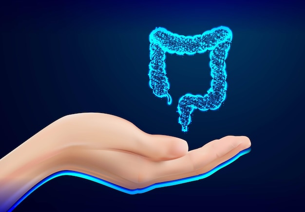 벡터 의사 코트 ponting 또는 결장 소장 소화 시스템 인간 해부학 의학 의료 및 광고 개념 벡터 일러스트 레이 션을 들고 여성 손의 근접 촬영