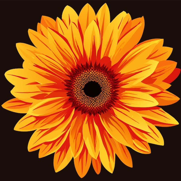 Closeup shot of an orange flower and leaf vector illustration