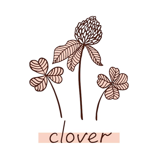 Clover leaf and flower Hand drawn clover silhouette Vector illustration