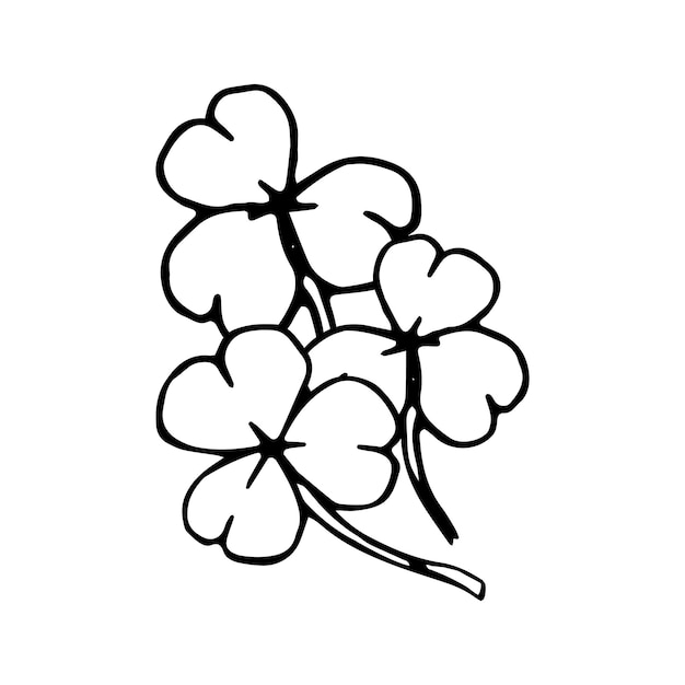 Vector clover leaves in doodle style. hand drawn illustration.