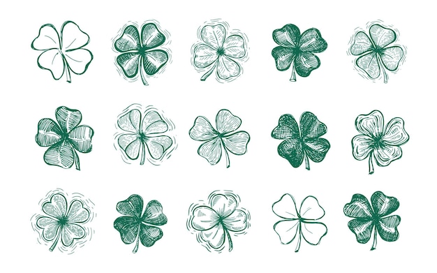 Vector clover st patricks day hand drawn illustrations