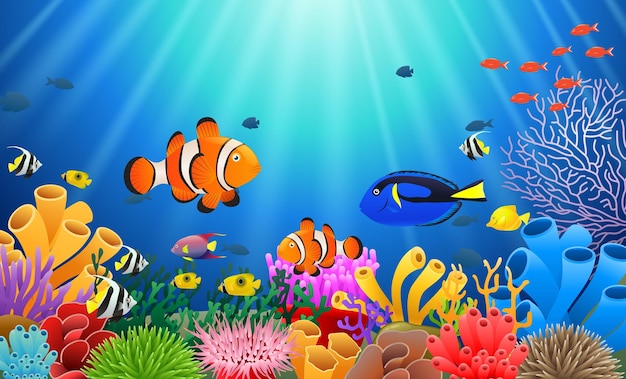 海底のピエロ魚 ベクトルイラスト
