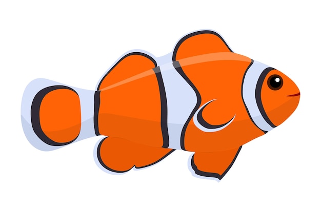 Vector clown fish