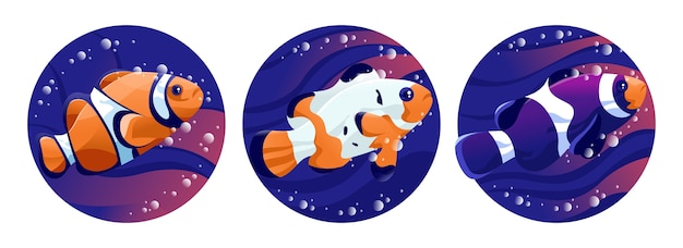 Clownfish Artwork illustratie