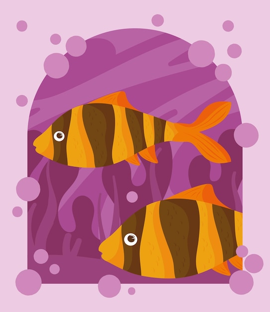 Clownfishes marine sea