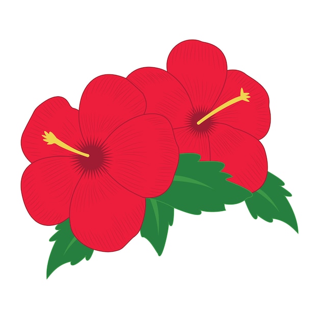 A cluster of tropical Hibiscus red flowers with jungle leaves Vector illustration