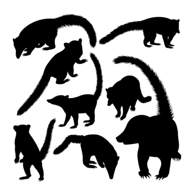 Coati animal silhouettes