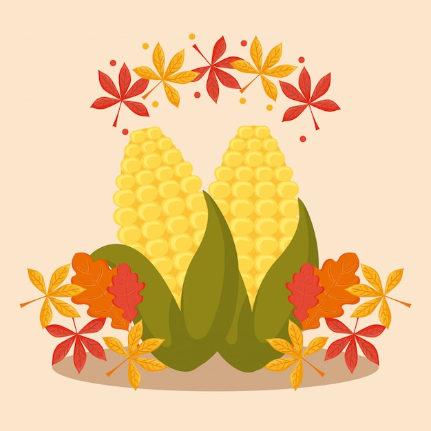 Vector cob with leafs for thanksgiving day