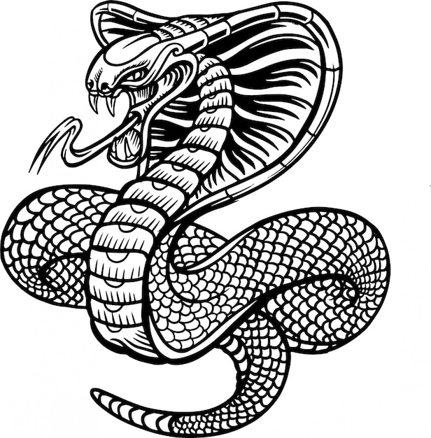 Vector cobra snake vector illustration