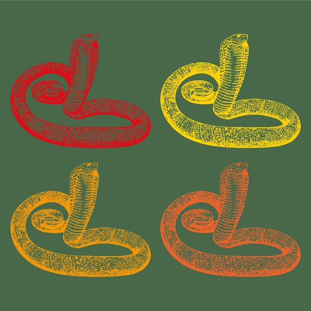 Cobra Vector Illustratie kleurenpalet