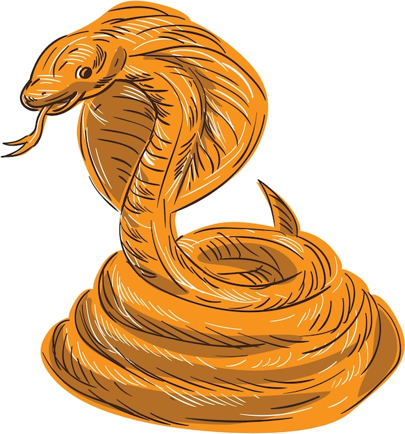 Cobra Viper Snake opgerolde tekening