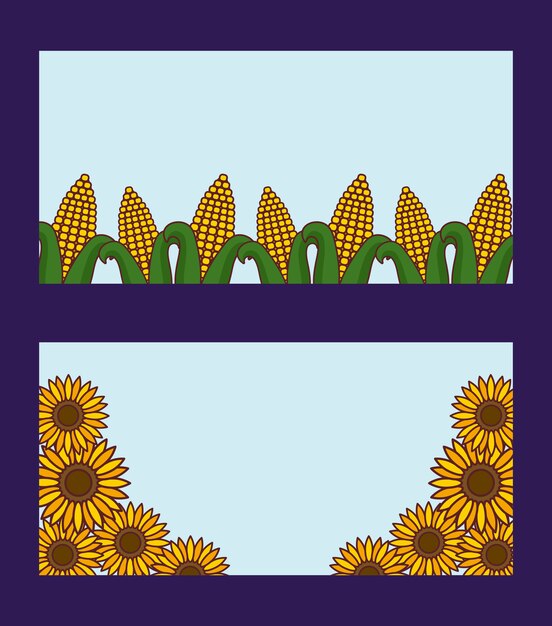 Vector cobs and sunflowers, rural card