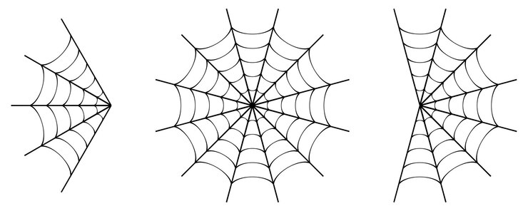 Vector cobweb varieties isolated vector spiderwebs