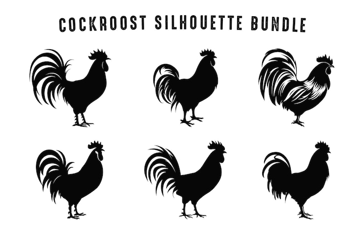 Vector cock rooster silhouette vector bundle rooster silhouettes cockroost black clipart set