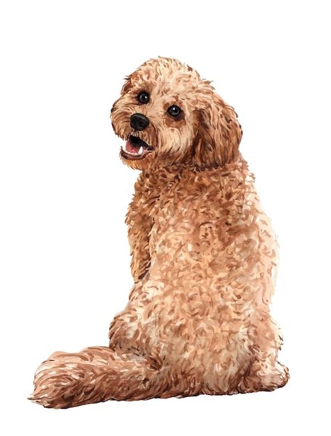 Vector cockapoo draait zich om cockapoo hond zit en draait zich om