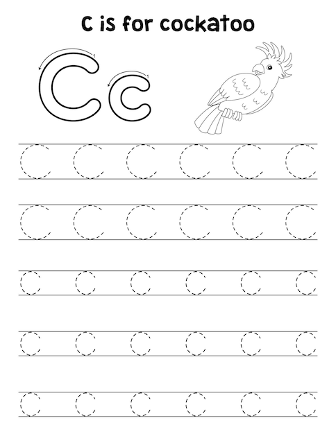 Vector cockatoo animal tracing letter abc coloring c