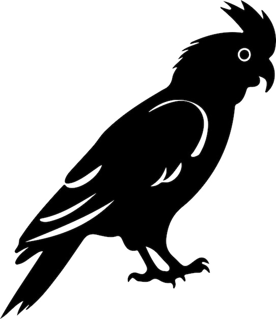 cockatoo black silhouette with transparent background