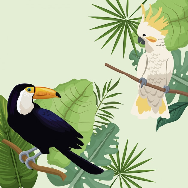 Cockatoo and toucan leaves tropical poster 