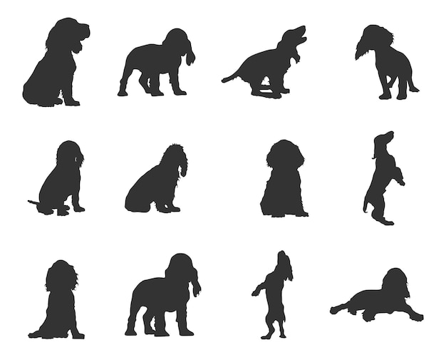 Cocker Spaniel dog silhouettes Cocker spaniel silhouette Cocker spaniel svg Cocker spaniel vector