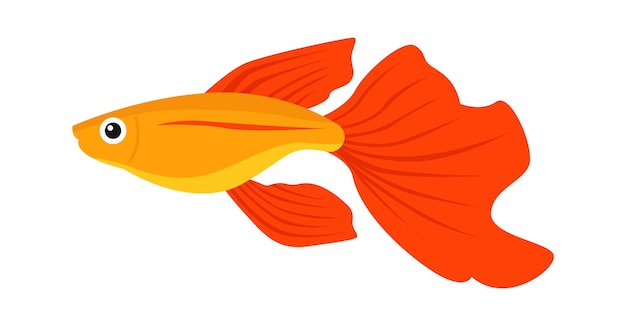 Cockerel aquariumvissen Vector illustratie