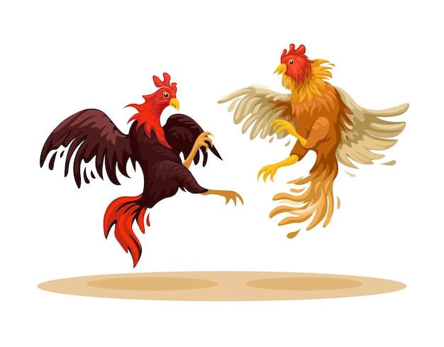 Cockfight traditional animal fight game illustration vector