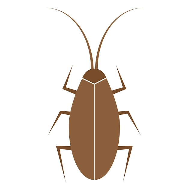 Vector cockroach brown insect bug flat icon