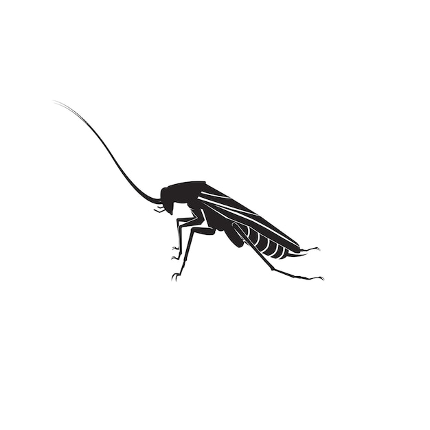 Cockroach icon