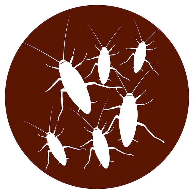 Vector cockroach icon