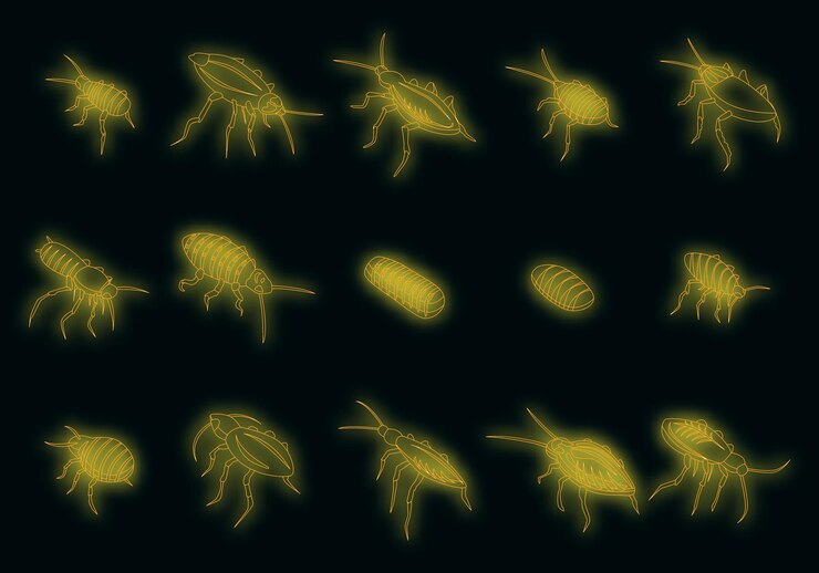 Vector cockroach icons set vector neon