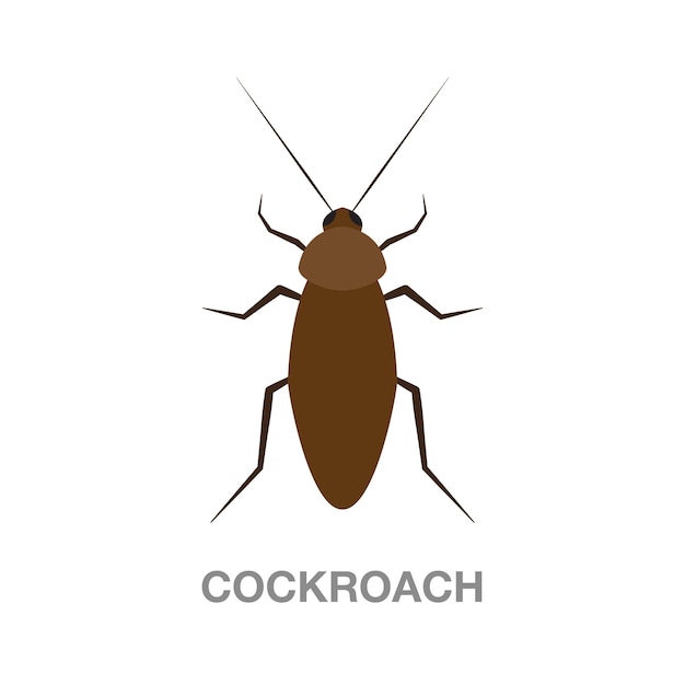 Cockroach illustration on transparent background