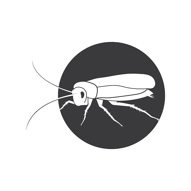 Cockroach logo Isolated cockroach on white background