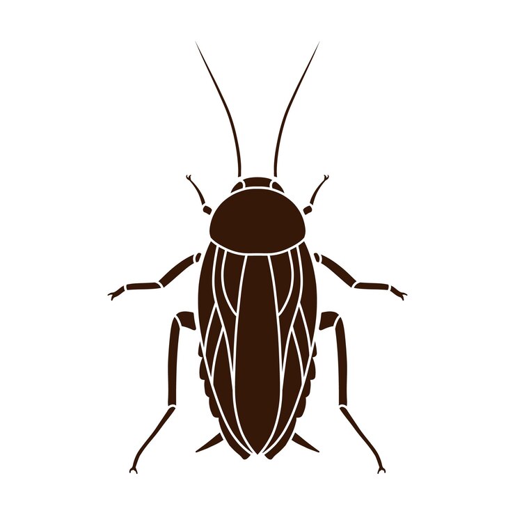 Vector cockroach silhouette illustration in simple style