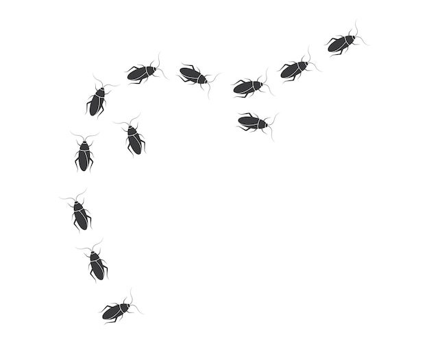 Cockroaches vector icon illustration design