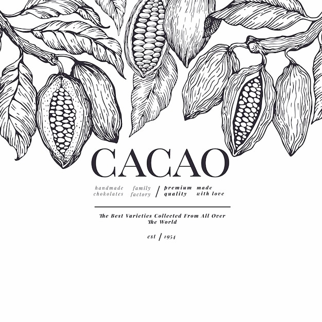 Modello di banner di cacao