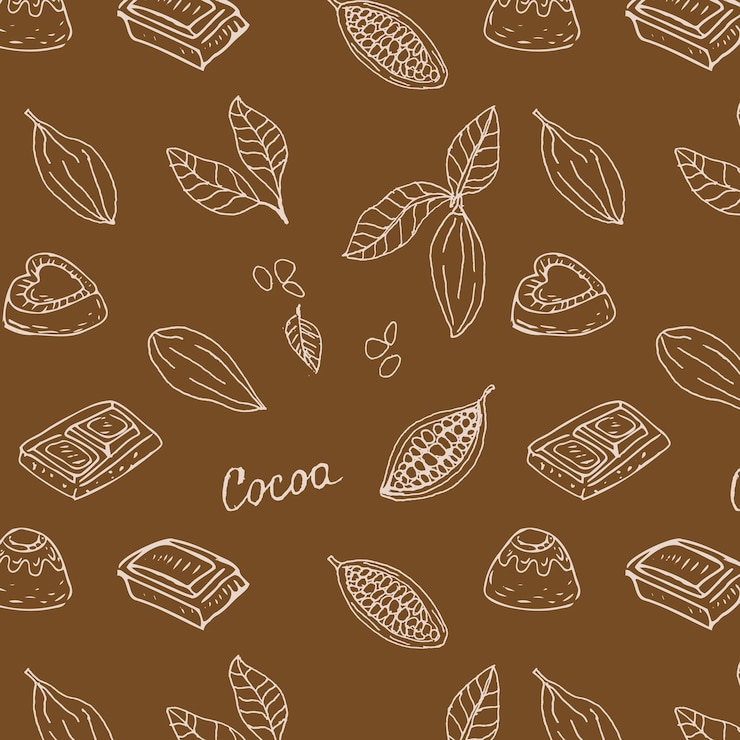 Vector cocoa beans and chocolate candy sliced vector illustration isolated hand drawn outline vector