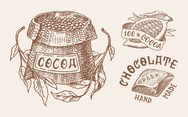 Cocoa beans and chocolate