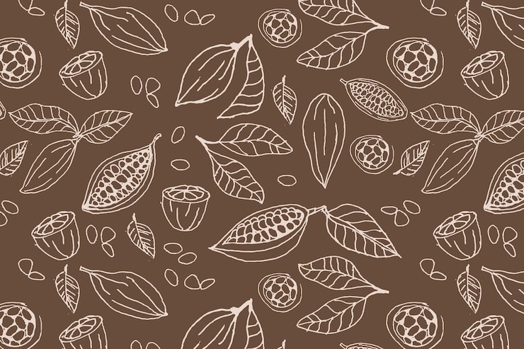 Vector cocoa beans organic background outline on brown