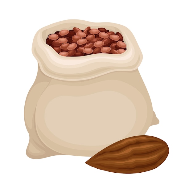 Vector cocoa beans poured in sack as aromatic chocolate ingredient vector illustration